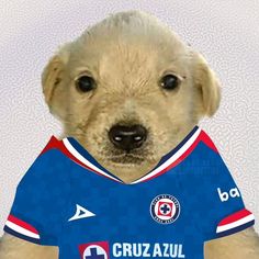 <em>Luisxd</em>